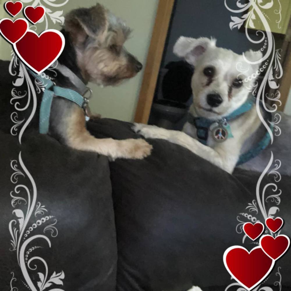 Meet your Posher, Kimberly